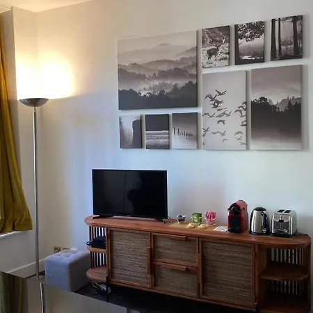 Appartement Marais Joli Deux Pieces Parijs
