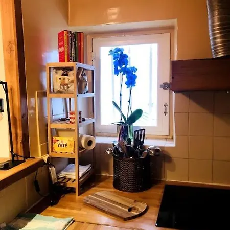 Apartment Habitation Salome *