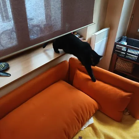 Séjour chez l'habitant Chambre Canal St Martin *