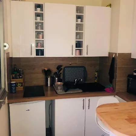 Cozy Parisian In The Heart Of The 19th Arrondissement 公寓 *