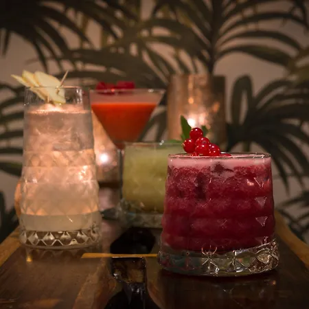 布尔多奈酒店 巴黎