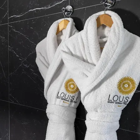 Hotel Louis Ii 4*