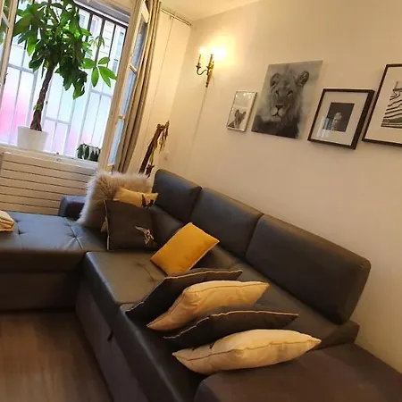 Апартаменты Gare Montparnasse,fantastic Location,center Paris6 Eme ,close To Louvre Meusm And Notre Eiffel Tour Париж