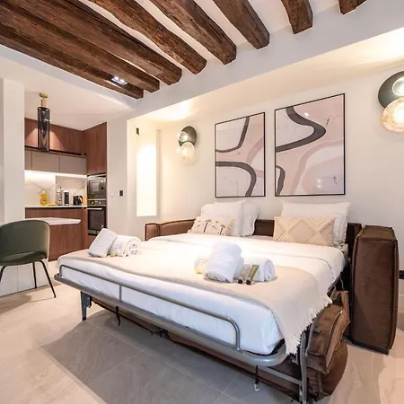 Appartement Luxury Marais Paris