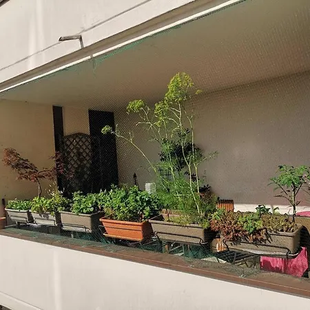 Large With Terrace For Up To 4 People パリ