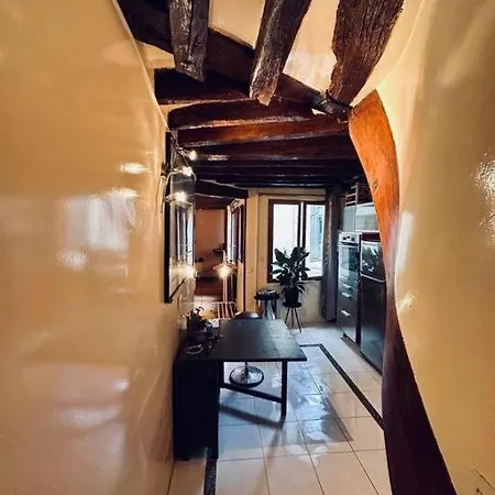 公寓 Artist's Loft In Center 巴黎