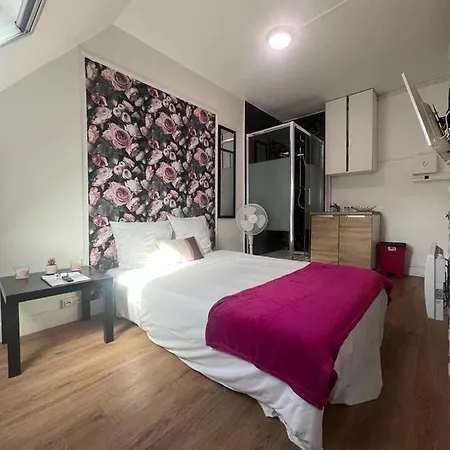Petit Studette Sous Le Toit In The Heart Of The Fashion And Luxury District *
