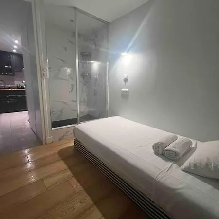 Le Marais Duplex Apartment *