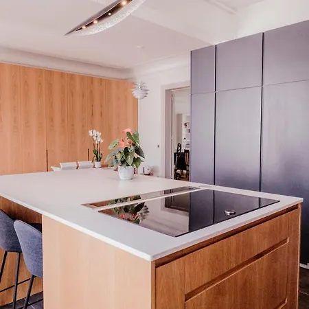 Luxueux Duplex Elysees 240m2 Appartement Paris