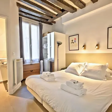 1 Bedroom Only 15 Min Walk To The Louvre *