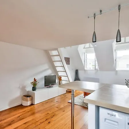 Magnifique Duplex Avec Vue Sur La Tour Eiffel Appartamento Parigi