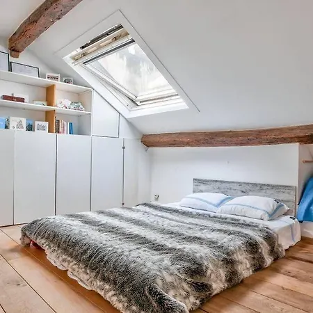 Magnifique Duplex Avec Vue Sur La Tour Eiffel Parigi