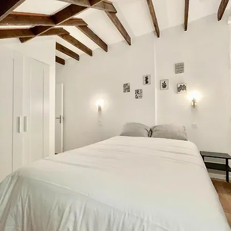 Parisien Branche A 10 Min De Bastille Appartement Paris