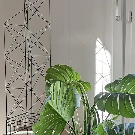 Apartment Saint-germain-des-pres Story *
