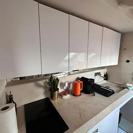 Apartment Marais Rooftop Studio - Metro Filles Du Calvaire Paris