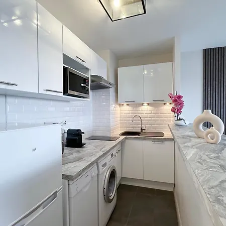 Appartement Beautiful Panoramic Terraced In Paris