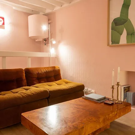 Duplex Historique Coeur Marais Apartment *