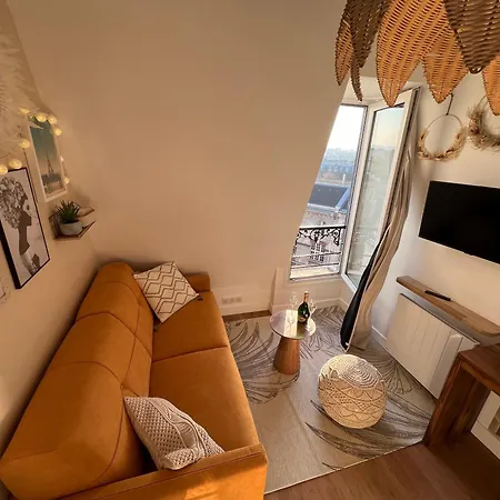 With Fabulous View On Roofs * Paris