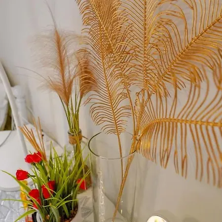 Apartment Cozy Studio@champs Elysee Paris