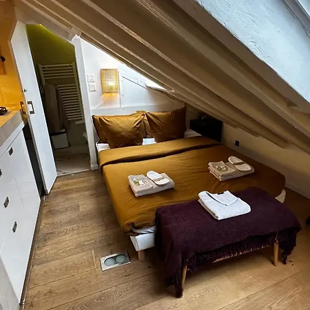 Marais Rooftop Studio - Metro Filles Du Calvaire Apartment *