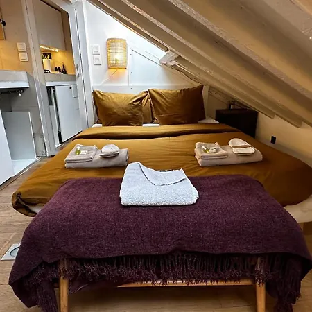 Marais Rooftop Studio - Metro Filles Du Calvaire Apartment Paris