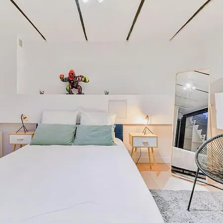 Apartment Renovated Design In Montparnasse