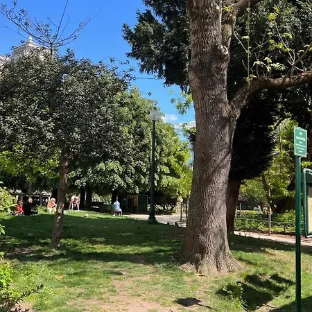 A Gem At Notre Dame * París