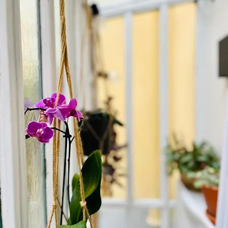 Appartamento Plein Coeur De : Duplex A Bastille Parigi