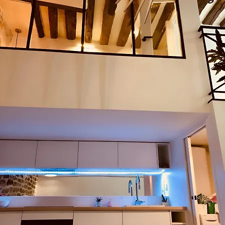 Plein Coeur De : Duplex A Bastille Appartamento *
