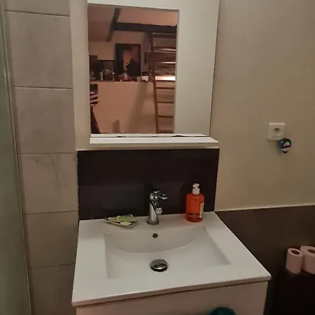 Souplex In Montmartre Apartment