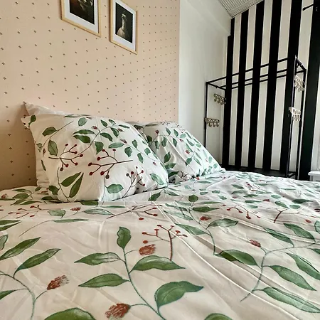 Apartment Lumineux Et Renove Pres De Montmartre 