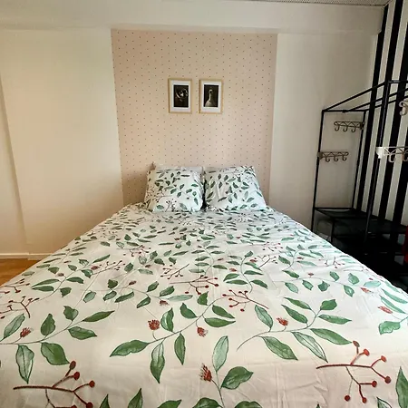 Apartment Lumineux Et Renove Pres De Montmartre 