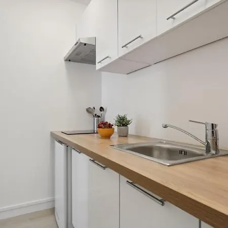 Cosy Renovated Studio In Heart Of Xvieme Apartment Paris