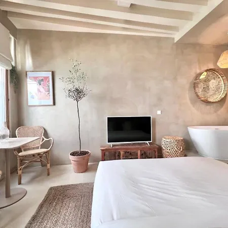De Charme Pour Un Sejour En Amoureux - 2p - Flat-guest