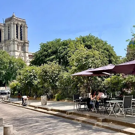 Notre Dame In Full Colors Apartament