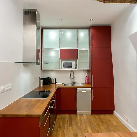 Du Lion/ac Historic Flat, Marais, 4-5 Guests *