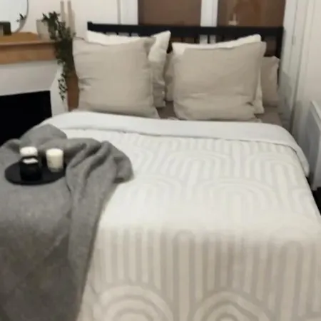 Apartment Cosy Haussmannien