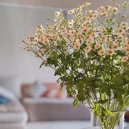 Apartment 20 Eme Rue Des Vignoles Au 6 Eme Ciel Paris