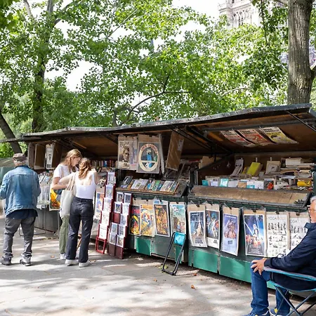 Moderne Artistique Sur Les Toits De Vue Sur Notre-dame Et La Seine 公寓