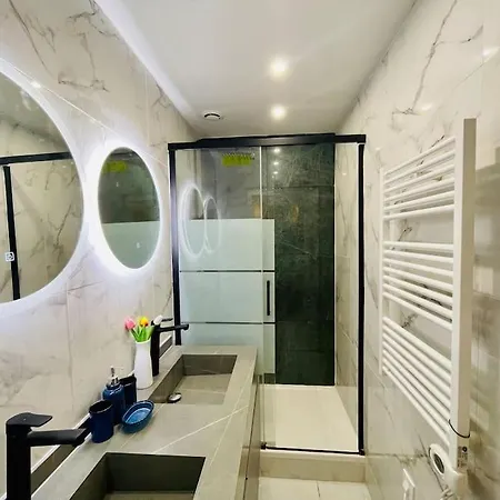 Apartment De Luxe Juste A Cote Des Champs-elysees Paris