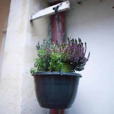 Charming In A Courtyard In Apartment Paris