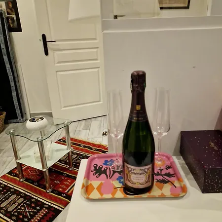 Apartment De Charme Champs Elysees *