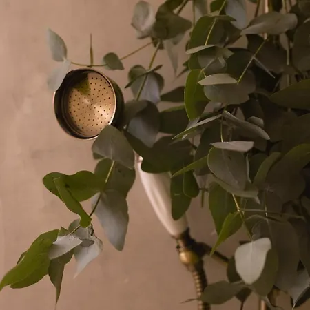 Apartamento Elegance And Parisian Charm Tuileries *
