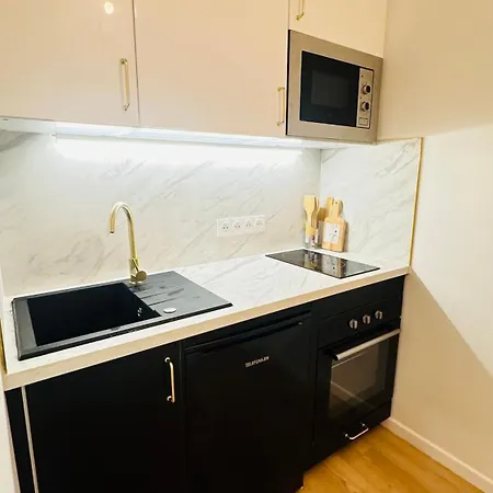 Appartement Cosy Avenue Niel Paris