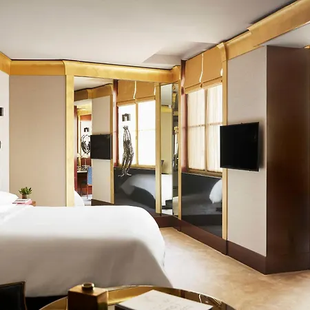Hotel Park Hyatt - Vendome 5*