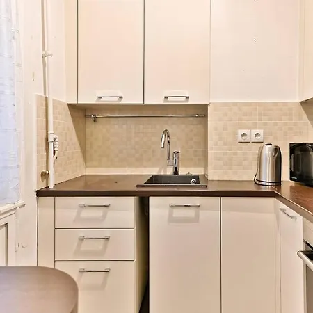 Haussmannien Lumineux Et Central- Ii Appartement