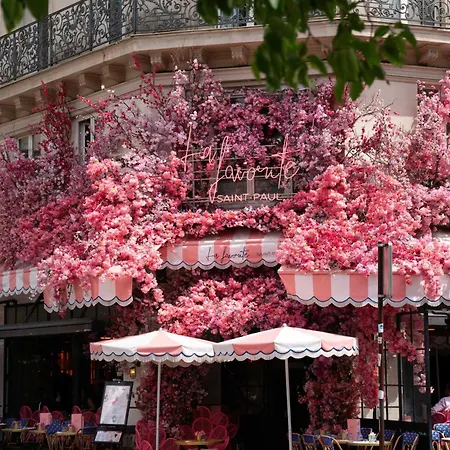 Cosy Duplex - 2p - 1bd - In The Heart Of The Marais