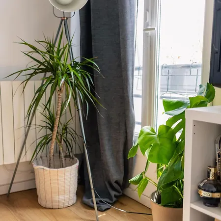 Cedric Lovely Loft Paris