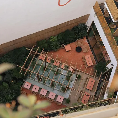 Bloom House & 4* Paris