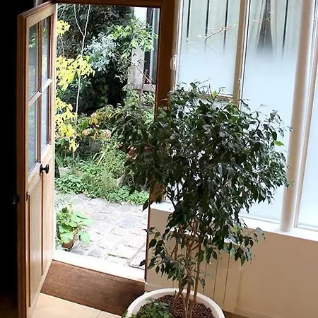 Apartment L'atelier D'artiste *